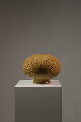 Coral Vase