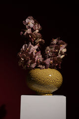 Coral Vase