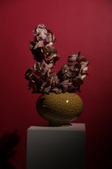 Coral Vase