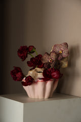 Marjan Vase