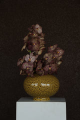 Coral Vase